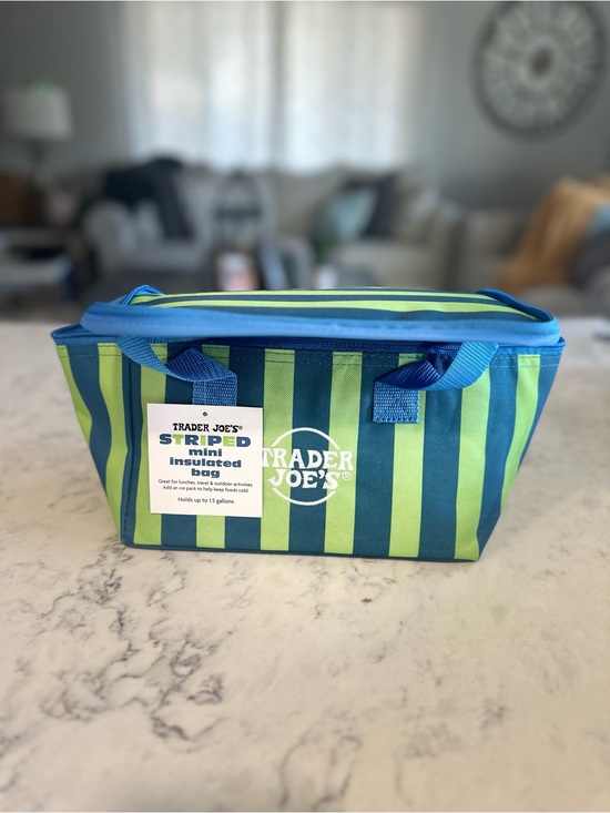 Other - Trader Joe's Striped Mini Insulated Bag - Blue & Lime